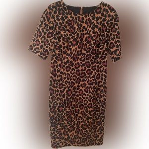 J. Crew Animal Print Brown-Redish Short Sleeve cotton w stretch Dress